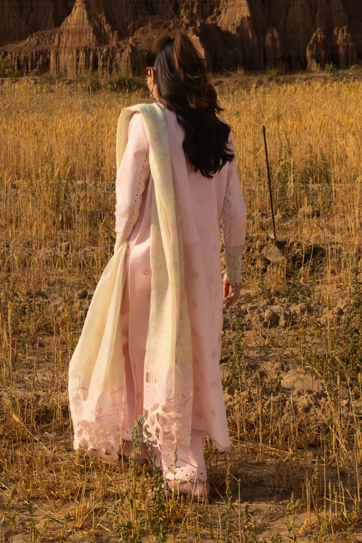 Premium Eid Edit ’25 by Rang Rasiya | D01 - Image 2