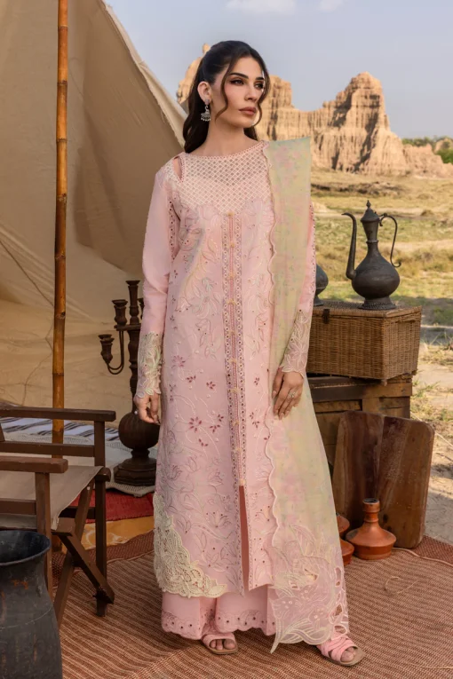 Premium Eid Edit ’25 by Rang Rasiya | D01 - Image 4