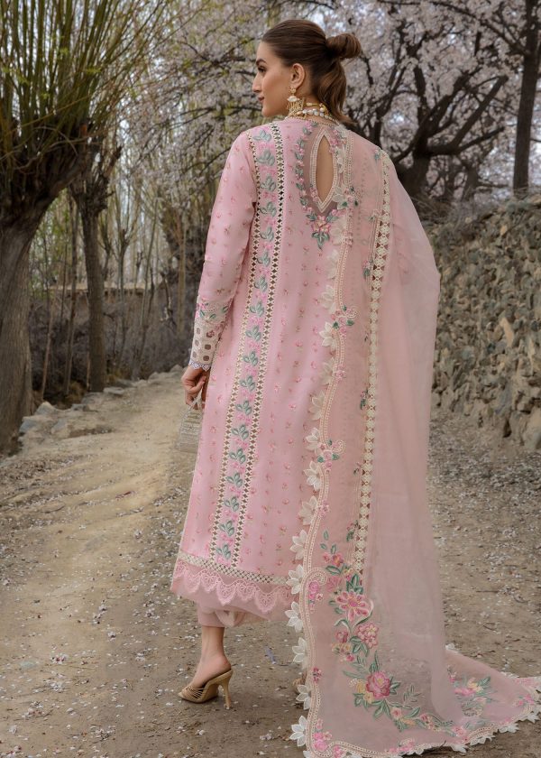 Crimson Luxury Lawn 2024 | Sarfaraz | Believe In Her - Blush Pink - Image 2