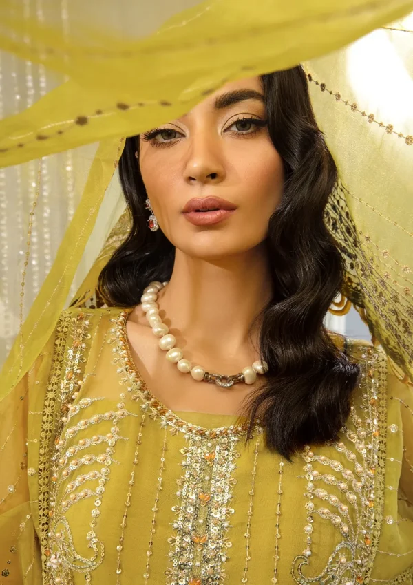 Luxury Formal Collection | Evara | The Formal Exhibit by Elaf | EFE-03 - Image 5