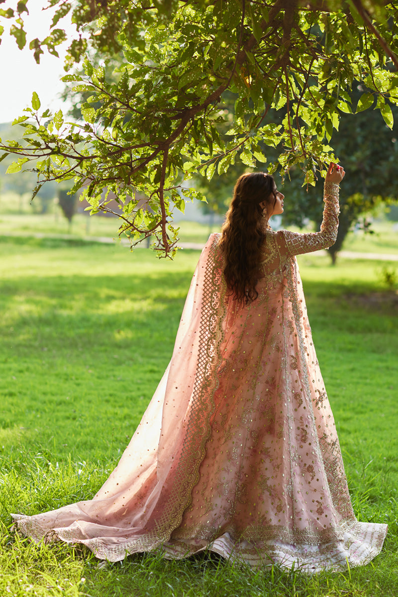 Qalamkar Shadmani Formals | Sajal Ali | SH-08 - Image 4