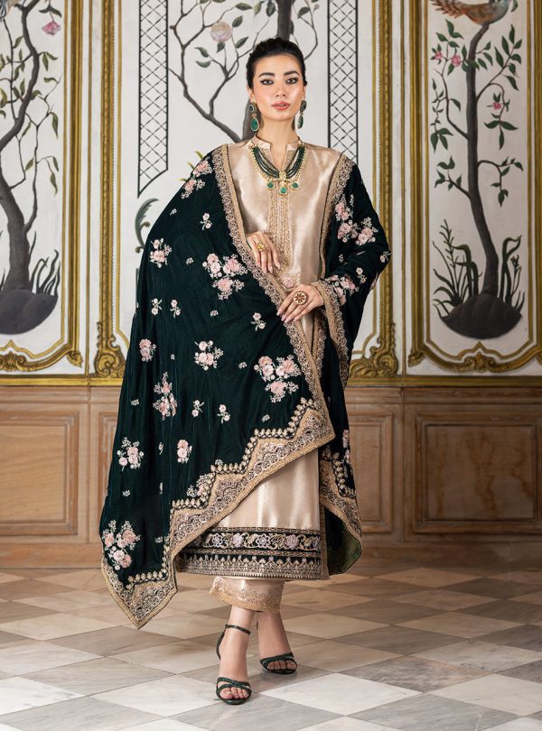 Zainab Chottani Velvet    | Sarwana - Image 3