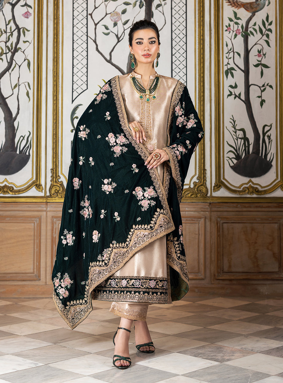 Zainab Chottani Velvet    | Sarwana - Image 3