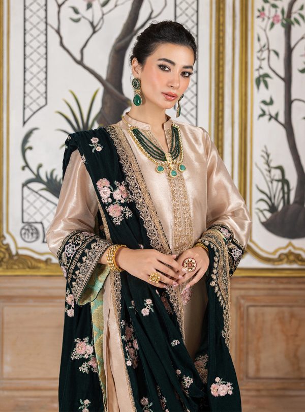 Zainab Chottani Velvet    | Sarwana - Image 6