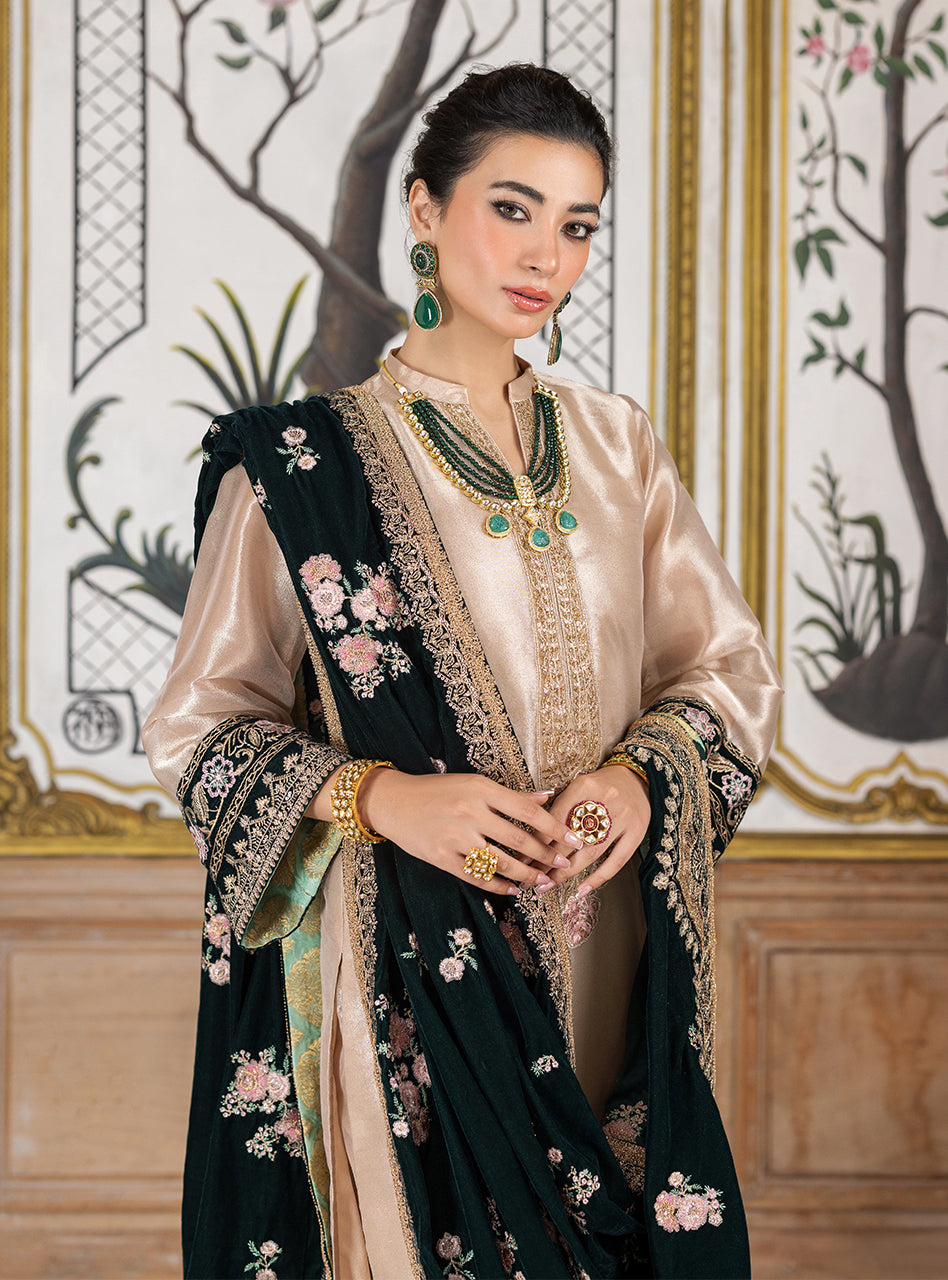 Zainab Chottani Velvet    | Sarwana - Image 6