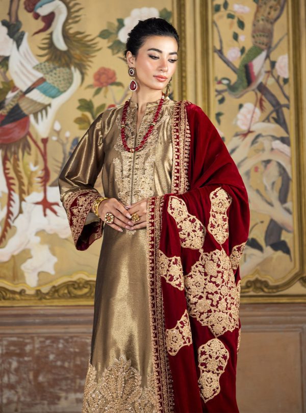 Zainab Chottani Velvet    | Zerlin - Image 2
