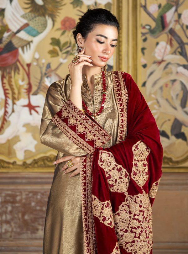 Zainab Chottani Velvet    | Zerlin - Image 3