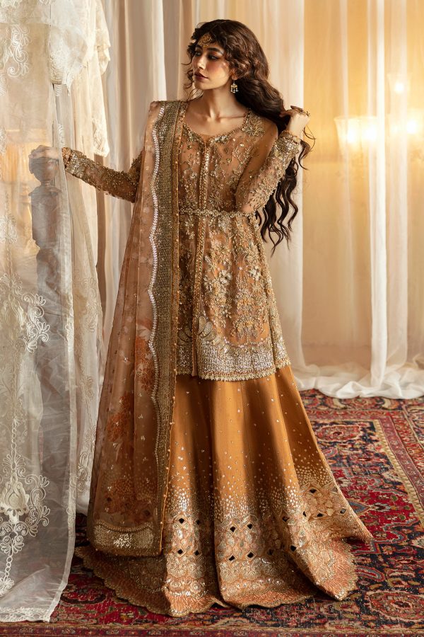 Afrozeh Hayat '24 Wedding Collection | Nooray - Image 2
