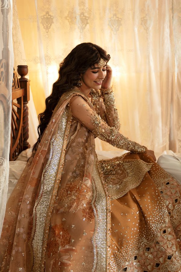 Afrozeh Hayat '24 Wedding Collection | Nooray - Image 5
