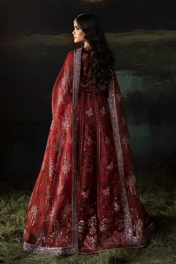 Afrozeh Hayat '24 Wedding Collection | Anaya - Image 2