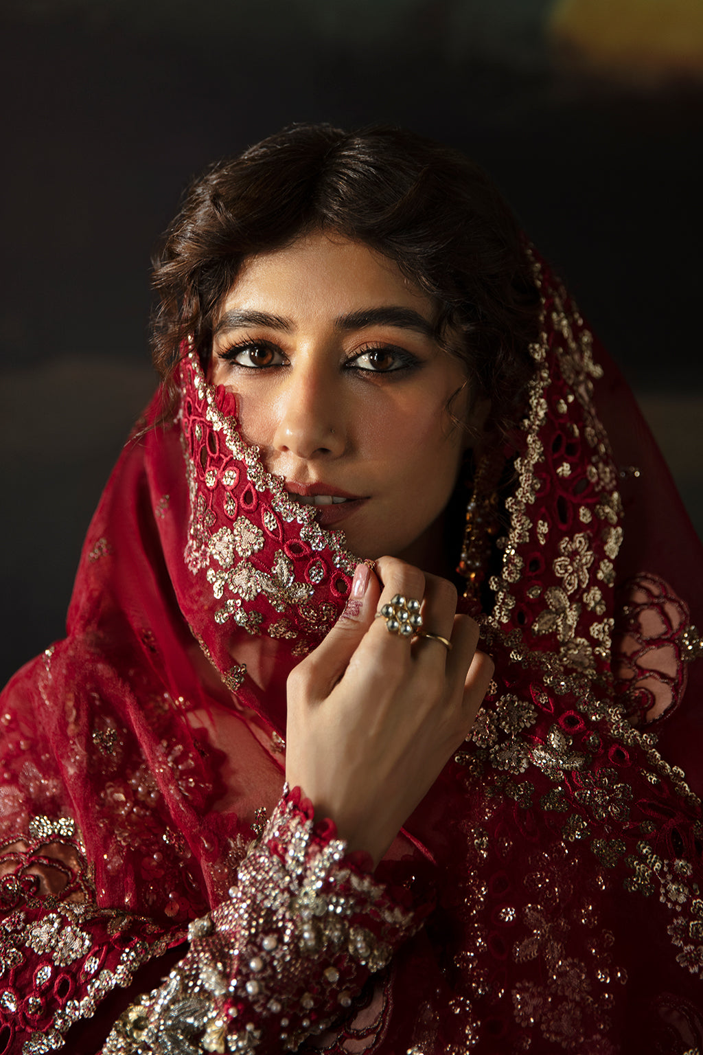 Afrozeh Hayat '24 Wedding Collection | Abeer - Image 3