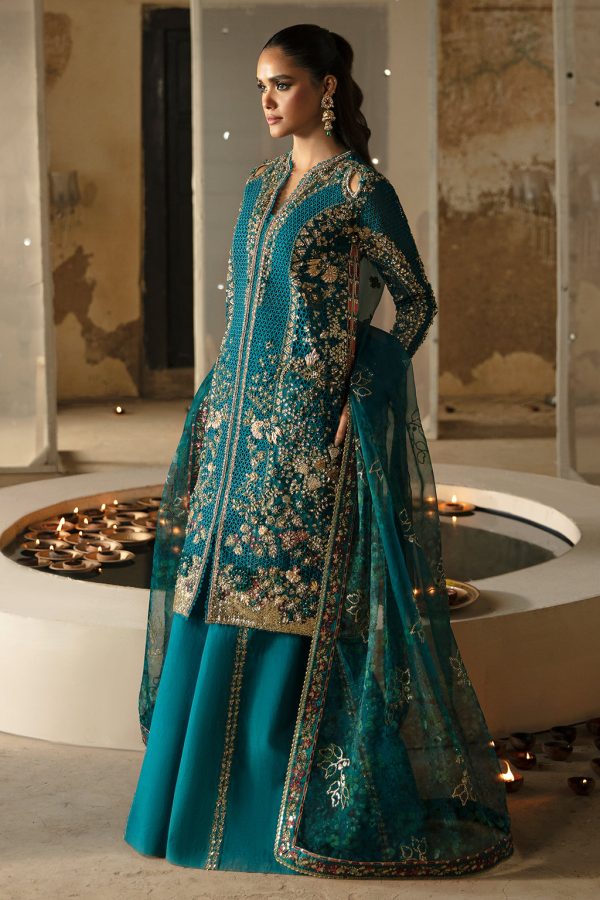 Afrozeh Hayat '24 Wedding Collection | Meerub - Image 2