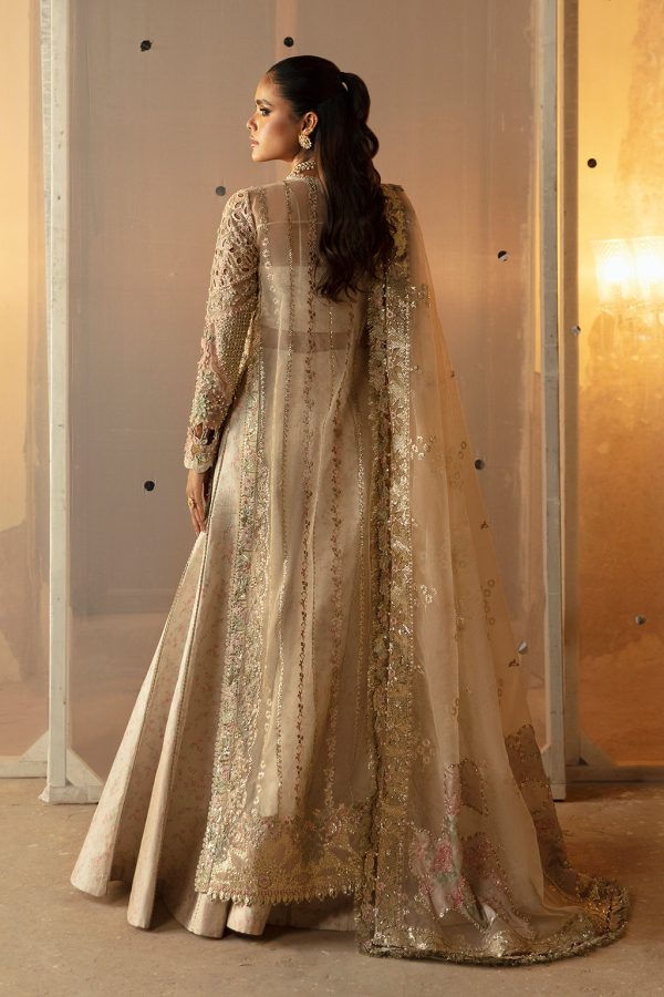 Afrozeh Hayat '24 Wedding Collection | Aniqa - Image 2
