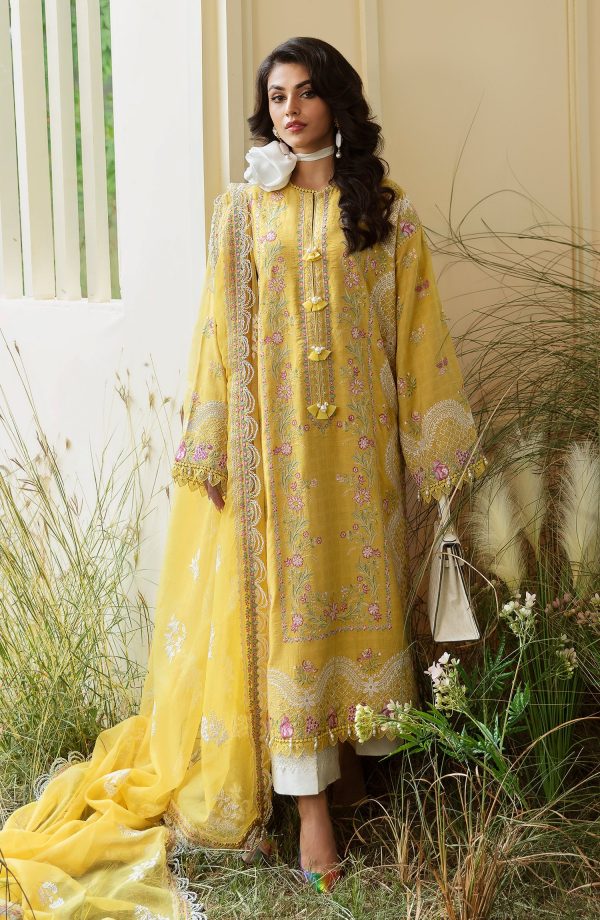Bushra Paracha by Zevk | ZFFL24-D7
