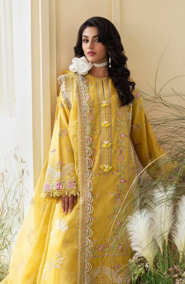 Bushra Paracha by Zevk | ZFFL24-D7 - Image 4