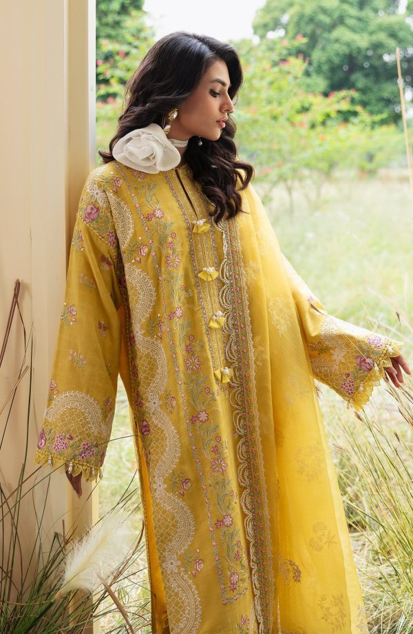 Bushra Paracha by Zevk | ZFFL24-D7 - Image 3