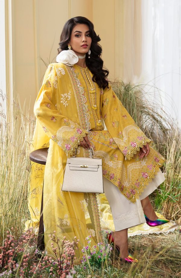 Bushra Paracha by Zevk | ZFFL24-D7 - Image 5