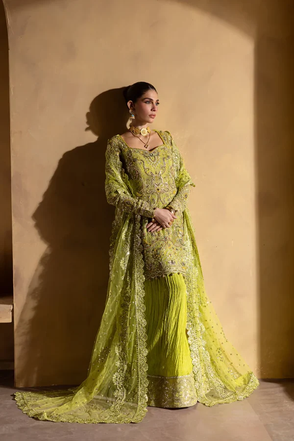 Regalia Luxury Formals by Emaan Adeel - BERYL - Image 3