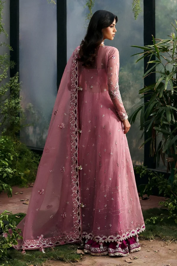 Afrozeh La Fuchsia '25 Party Collection | Seraira - Image 2