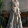 Afrozeh La Fuchsia '25 Party Collection | Elanora