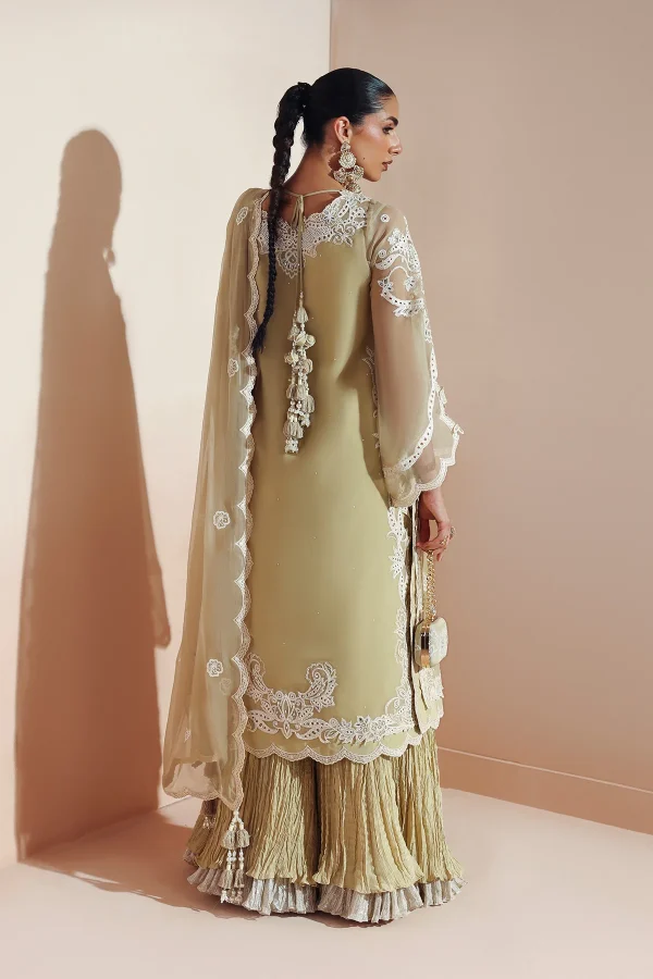 Alizeh Aymal Luxury Vol 2 -AF-BCH-2207-ALIHA - Image 6
