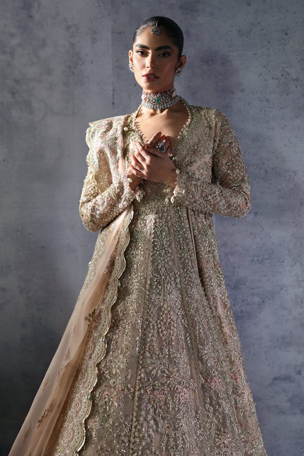 Afrozeh Brides Wedding   | Emilia - Image 8