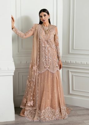 Crimson X Saira Shakira Unstitched Wedding Collection   | CW24-D5