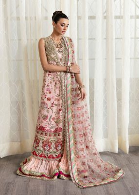 Crimson X Saira Shakira Unstitched Wedding Collection   | CW24-D6