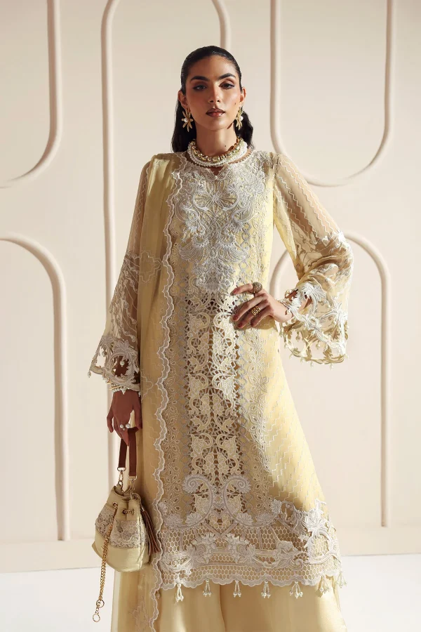 Alizeh Aymal Luxury Vol 2 - AF-BCH-2202-AIRA - Image 5
