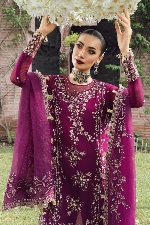 Rang Rasiya Wedding Formals '25 || Nimir - Image 2