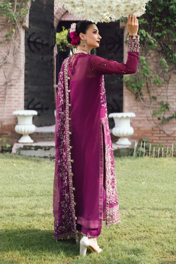 Rang Rasiya Wedding Formals '25 || Nimir - Image 4