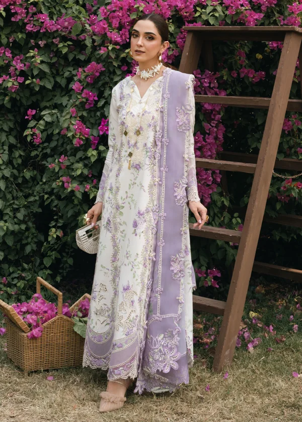 Crimson Tasawar Lavender Fall - D5B