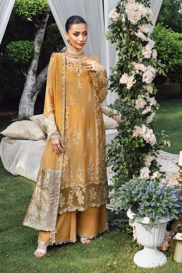 Rang Rasiya Wedding Formals '25 || Misha - Image 5