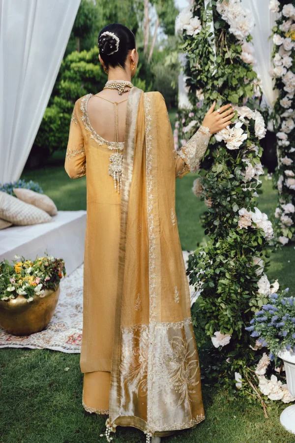 Rang Rasiya Wedding Formals '25 || Misha - Image 4