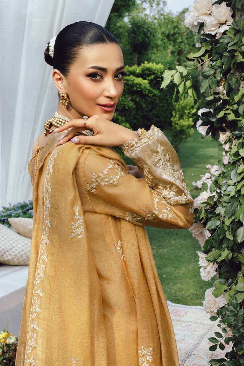 Rang Rasiya Wedding Formals '25 || Misha - Image 3