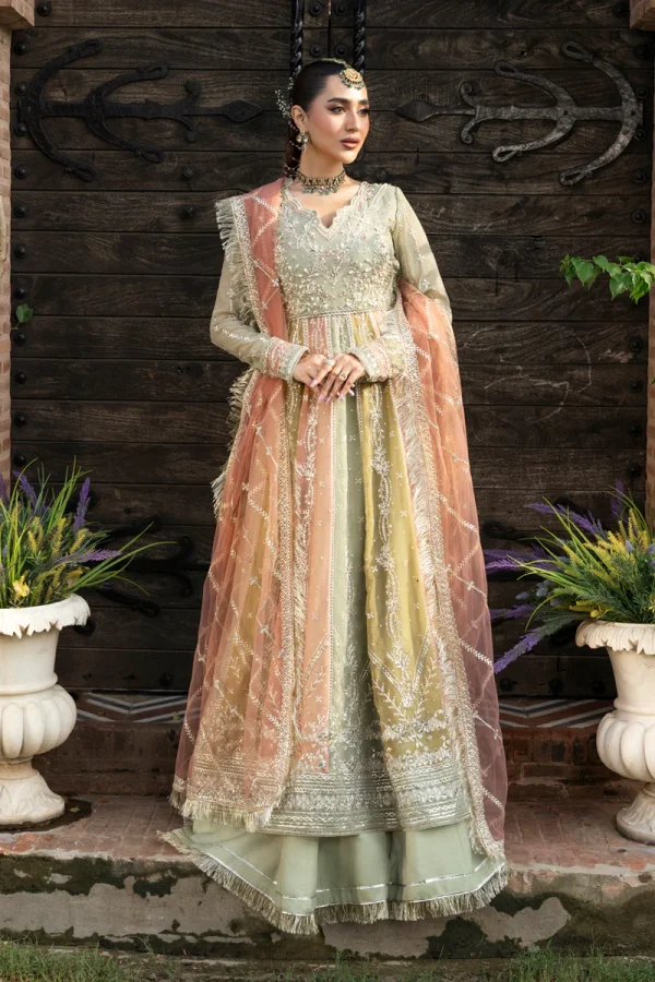 Rang Rasiya Wedding Formals '25 || Amil - Image 5