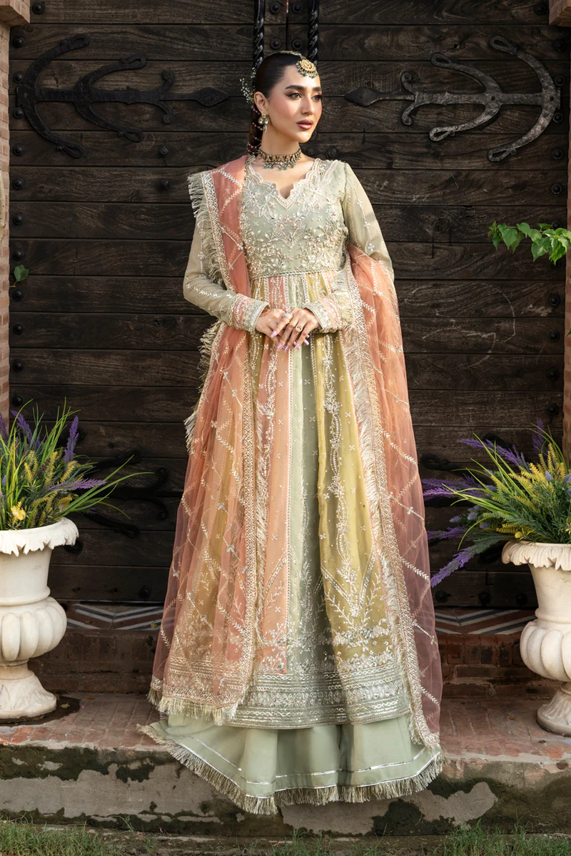 Rang Rasiya Wedding Formals '25 || Amil - Image 5
