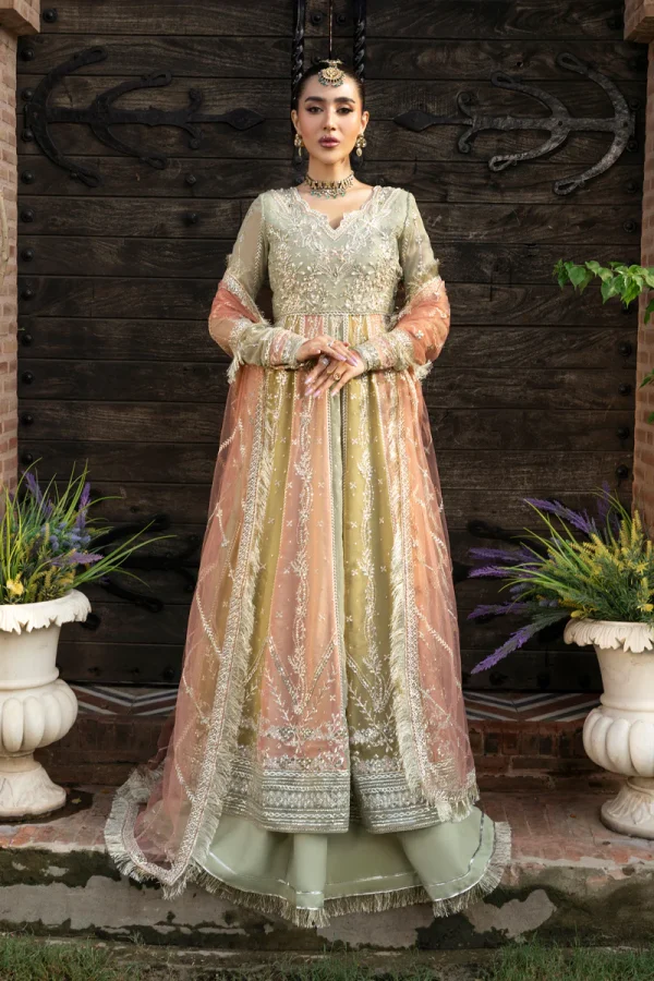 Rang Rasiya Wedding Formals '25 || Amil