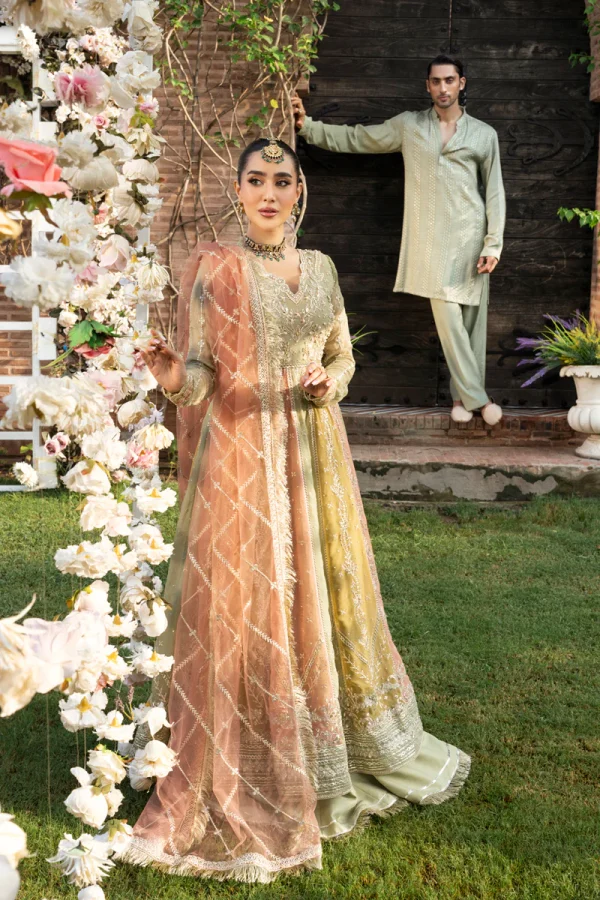 Rang Rasiya Wedding Formals '25 || Amil - Image 3