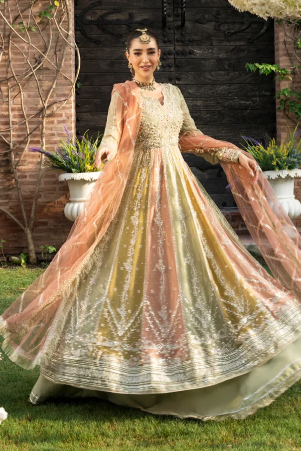 Rang Rasiya Wedding Formals '25 || Amil - Image 2