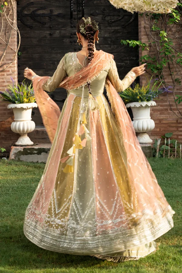 Rang Rasiya Wedding Formals '25 || Amil - Image 4