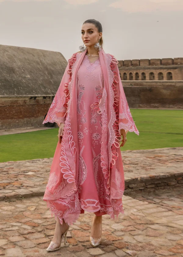 Crimson Tasawar All Things Ombre - D1B - Image 3