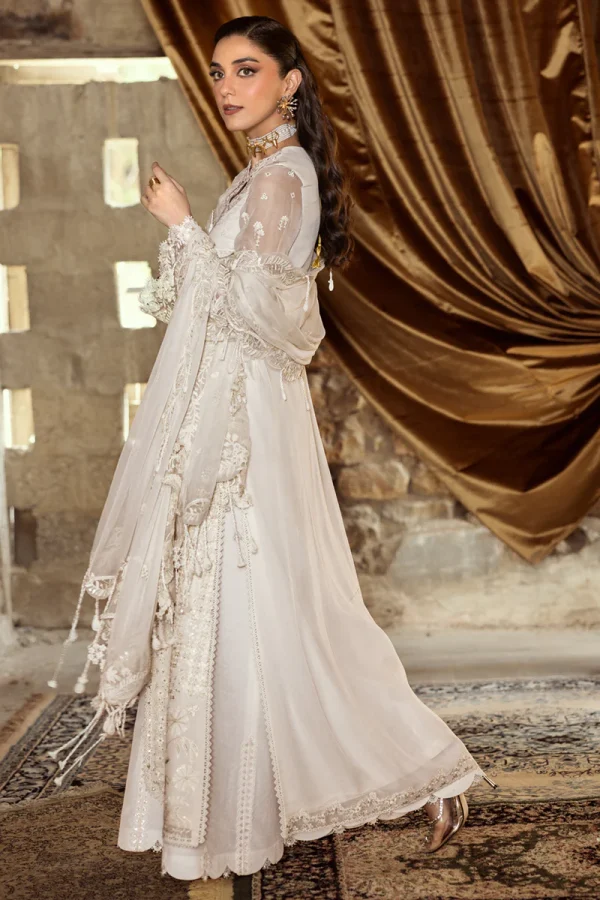 Qalamkar Chiffon Collection | Chiffons 2025 | WC-03 - Image 2