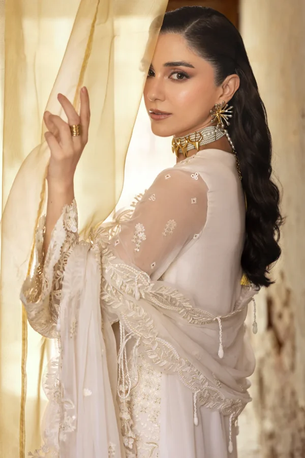Qalamkar Chiffon Collection | Chiffons 2025 | WC-03 - Image 4