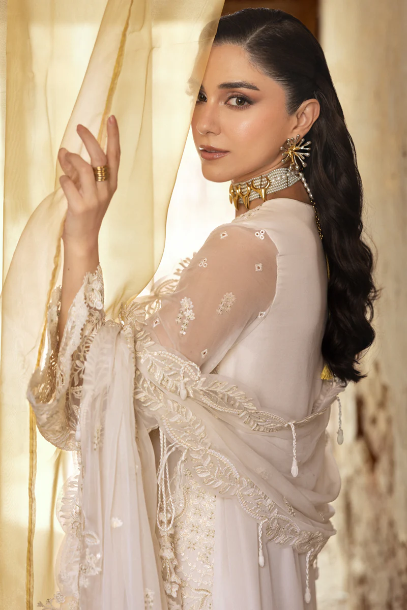 Qalamkar Chiffon Collection | Chiffons 2025 | WC-03 - Image 4