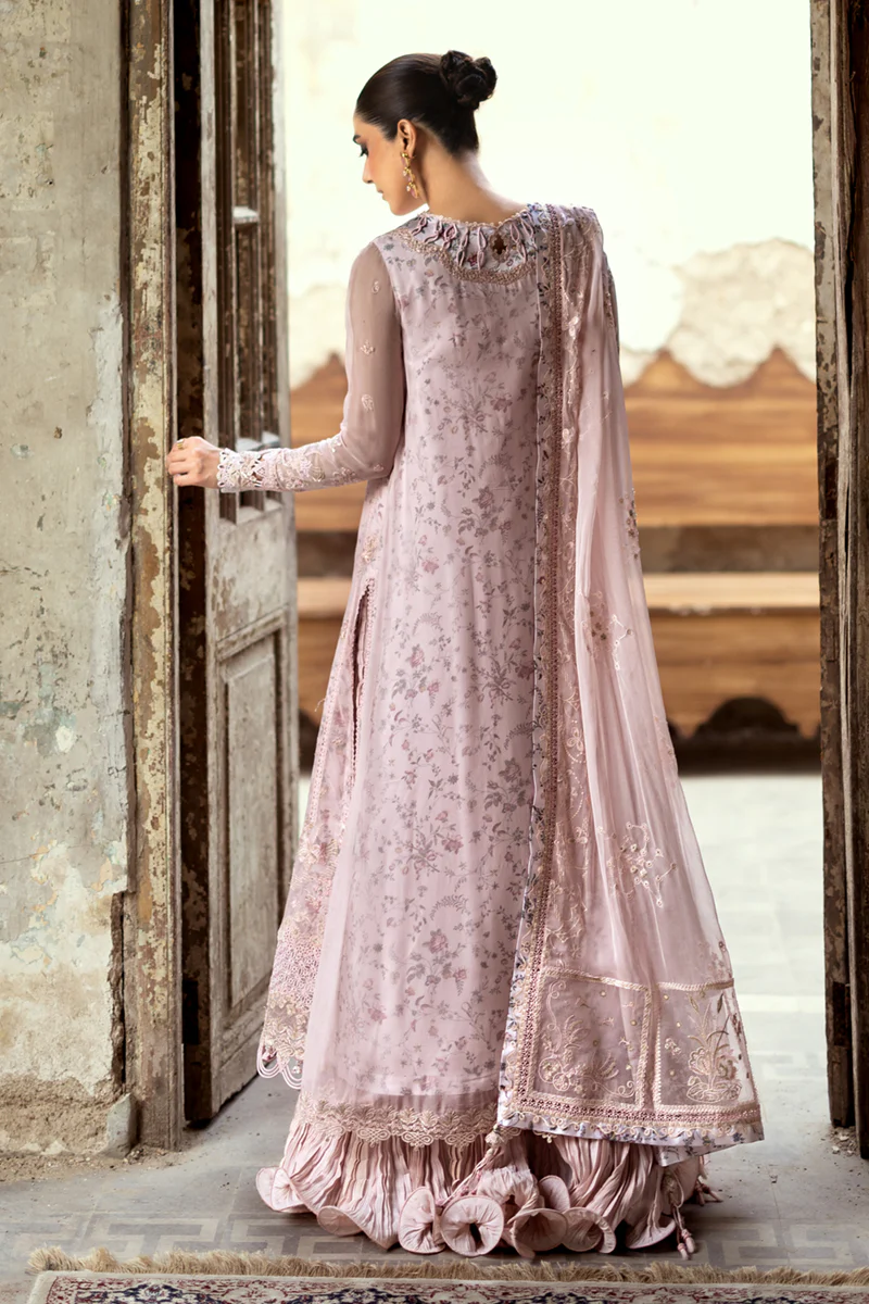 Qalamkar Chiffon Collection | Chiffons 2025 | WC-05 - Image 4