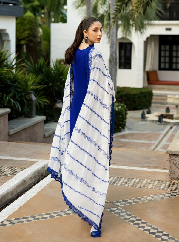 Zainab Chottani Chikankari Lawn 2025 | 11B - Image 2