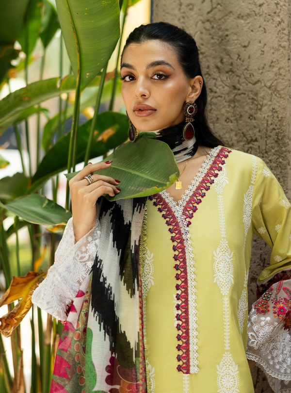 Zainab Chottani Chikankari Lawn 2025 | 12A - Image 3