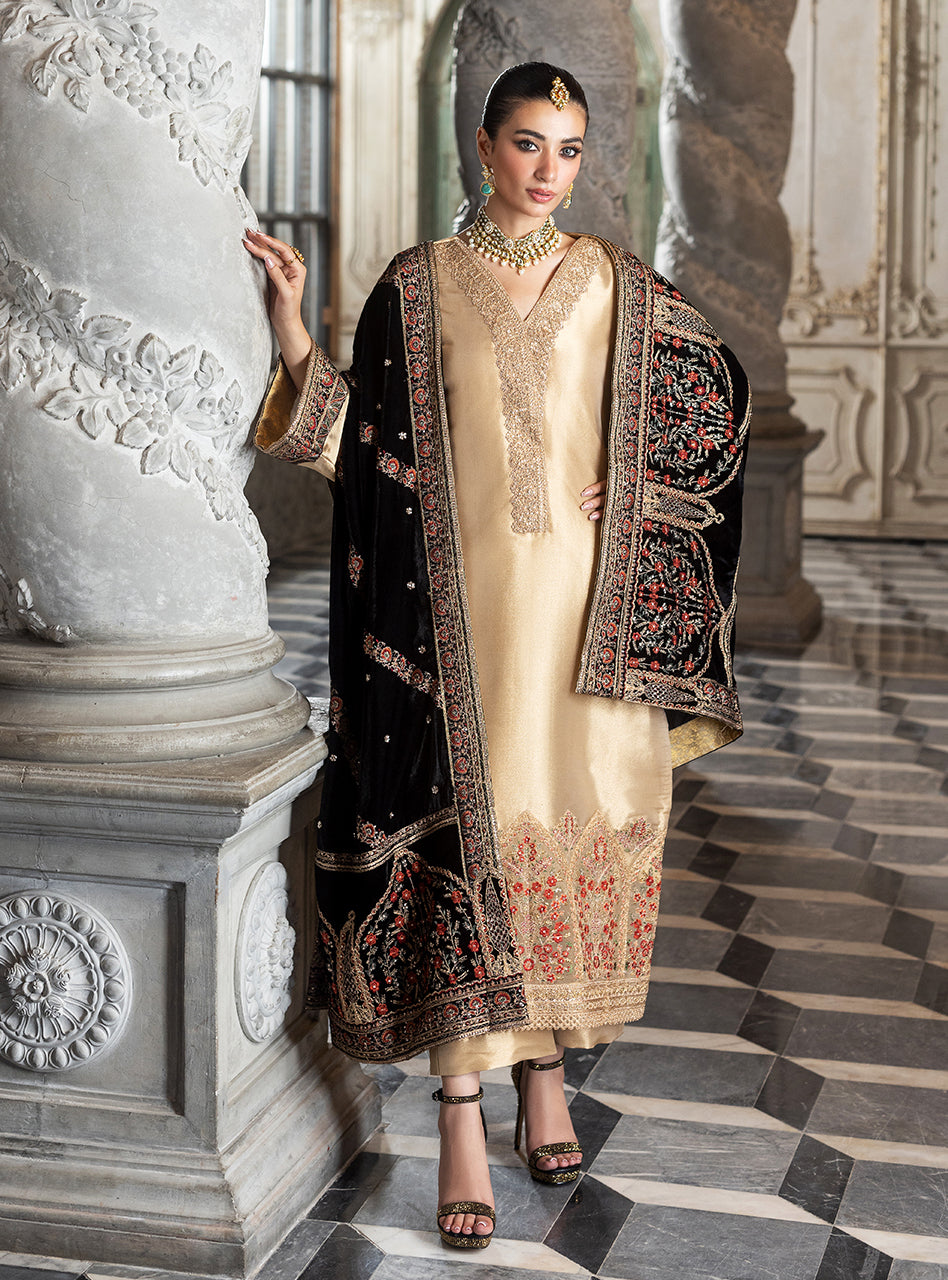 Zainab Chottani Velvet    | Minha