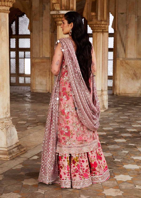 Hussain Rehar Luxury Festive 2024 | Sham - Image 2